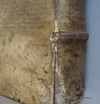 Trincavello (1585): Detail of spine showing the alum-tawed skin patch adhered over sewing support. The original color of the patch can be seen where the parchment is split along the shoulder of the spine. 