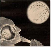 "The purkinje vein figure," Fritz Kahn, Das Leben des Menschen 5 (1931), 61.  Artist: Alwin Freund-Beliani National Library of Medicine. 