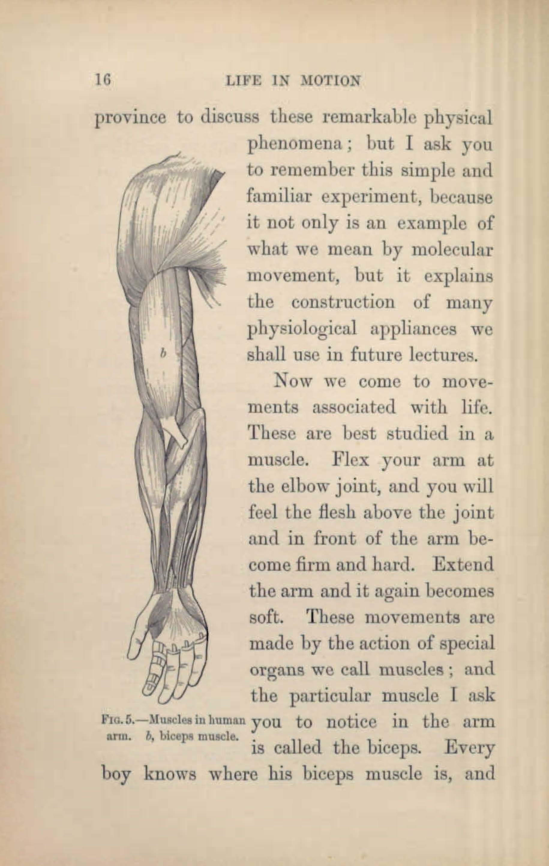 The Christmas Lectures Books Health and History