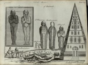 Mummy, plate 69, Compleat History of Drugs