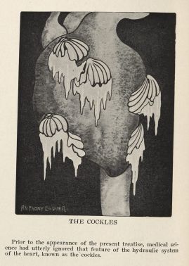 The cockles. Click to enlarge.