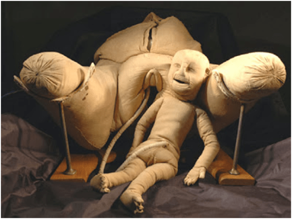 Picture of Madame du Coudray’s “Machine,” from the website of Les Musees en Haute-Normandie.