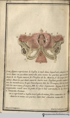 Plate III: A fetus in its natural position.