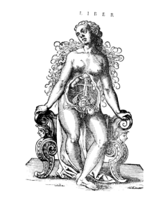 From Jacob Reuff’s The Expert Midwife. Image courtesy of the Dittrick Museum.