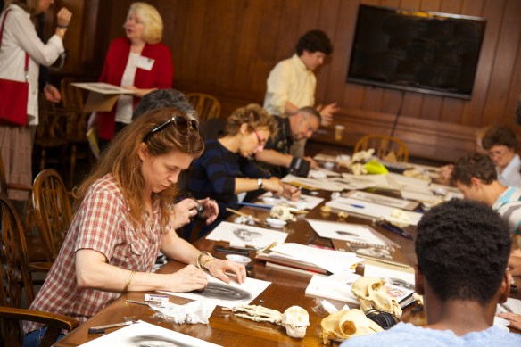 Students at medical illustrator Marie Dauenheimer's workshop at last fall's Festival.