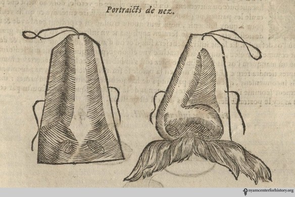 Artificial noses. From  our 1633 edition of Les oeuvres d'Ambroise Paré.