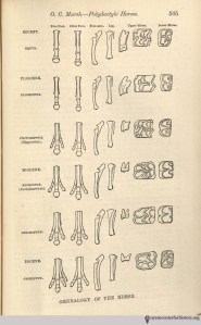 Marsh, O. C. "Polydactyle horses, recent and extinct."  American Journal of Science and Arts. New Haven: 1879. 