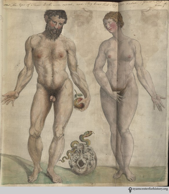 Adam and Eve in the Academy's copy of the 1559 English edition of Geminus’  Compendiosa. Click to enlarge.