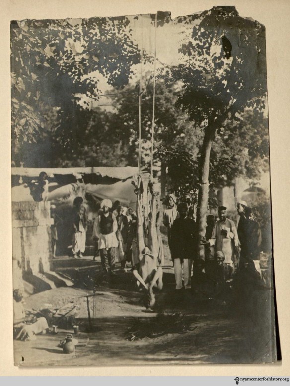 Photograph in Photo album of W. E. Aughinbaugh, approximately 1897-1906.