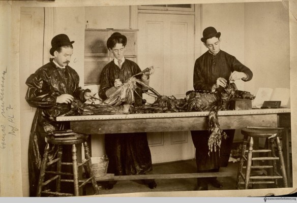 Photograph in Photo album of W. E. Aughinbaugh, approximately 1897-1906.