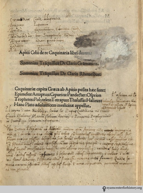 Marginalia in our 1503 printed Apicius offers Greek glosses on Latin terms.