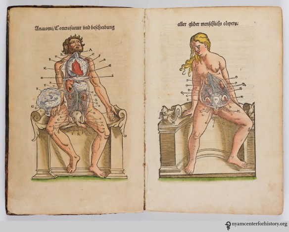 Plate 1 of Ryff's Des aller furtrefflichsten, hoechsten und adelichsten Gschoepffs aller Creaturen (1541)