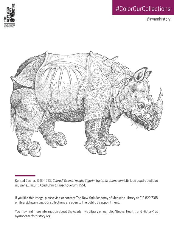 Click to download the PDF coloring sheet featuring the rhino in Gesner, Historiae Animalium, Liber I, 1551