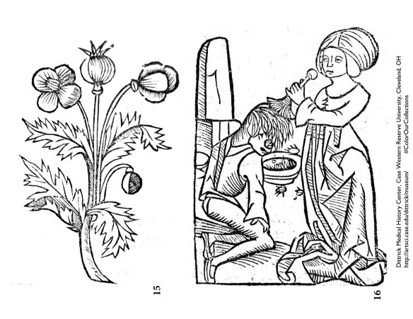 Lice removal. 1491. Hortus sanitatis. Mainz, Jabob Meydenbach. Courtesy of the Dittrick Museum.