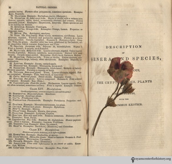 Our copy of Phelps’ Lectures on Botany contains a sweet floral treasure pressed within, with the ghost of its outline visible on its pages. If you can identify the flower, please let us know.