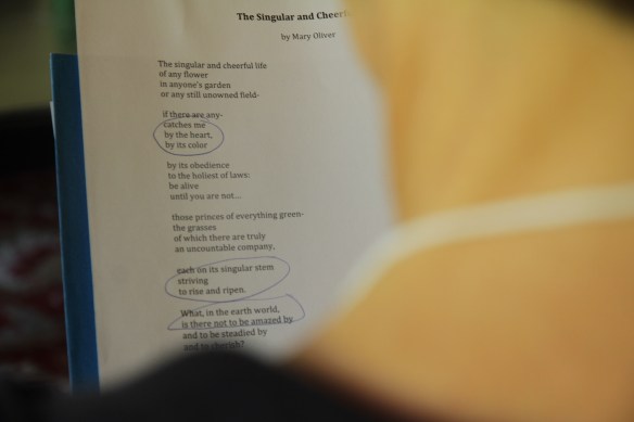 Using poetry for self-reflection and healing