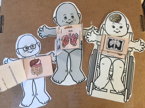 Make this flap anatomy craft with us at Museum Mile! Photo: Emily Miranker.