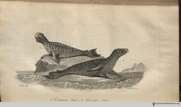 godman_americannaturalhistory_1826_v1_seals_watermark