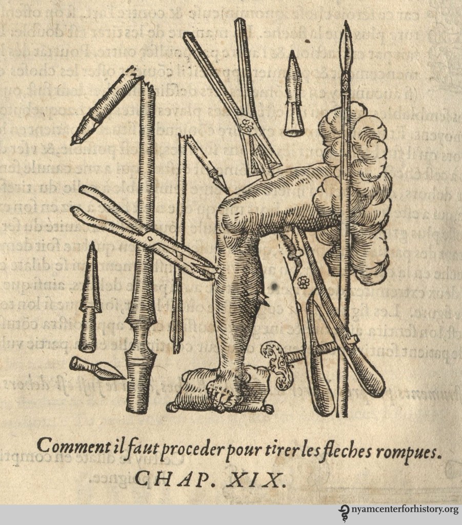 Pare_Oeuvres_1575_woundleg_watermark