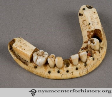 5academy-timeline-figure_watermark