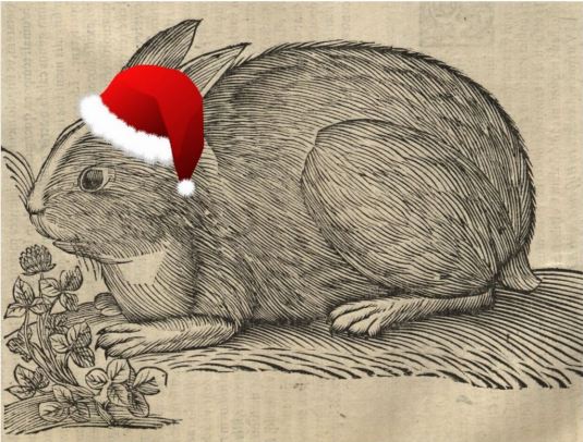 holiday-rabbit_aldrovandi
