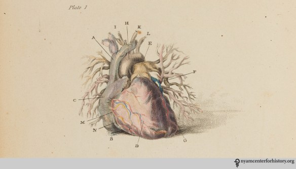 1bell_engravingsofthearteries_1801-plate1-crop_watermark