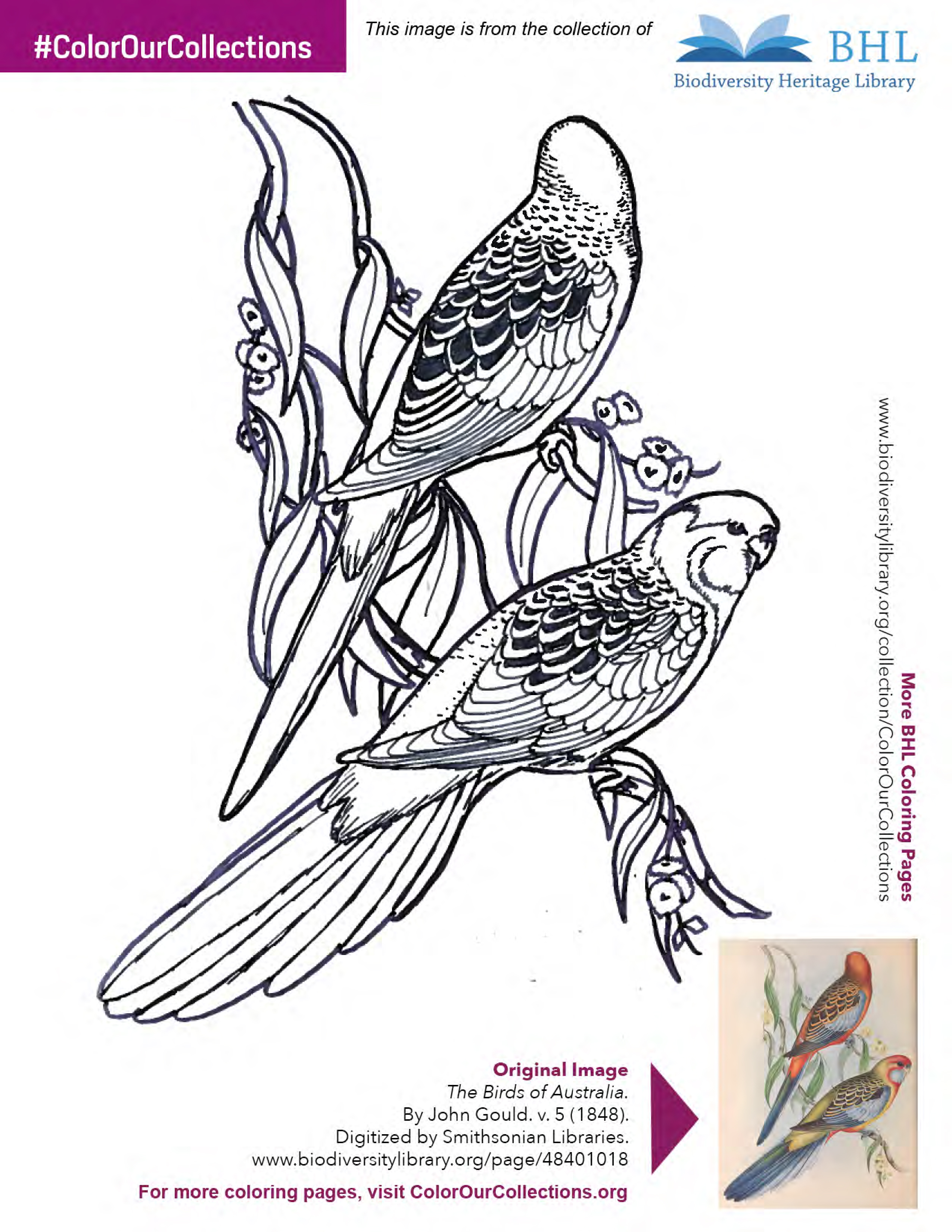 2017bhlcoloringbookpt3-2