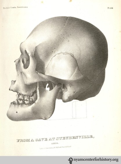 morton_crania-americana_1889_watermark