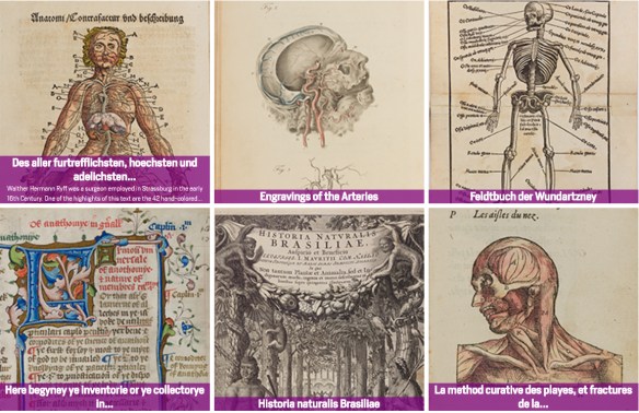 IslandoraCollections