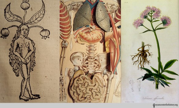 1.Tingreferences_watermark