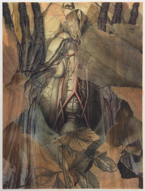 Torso with Hellebore