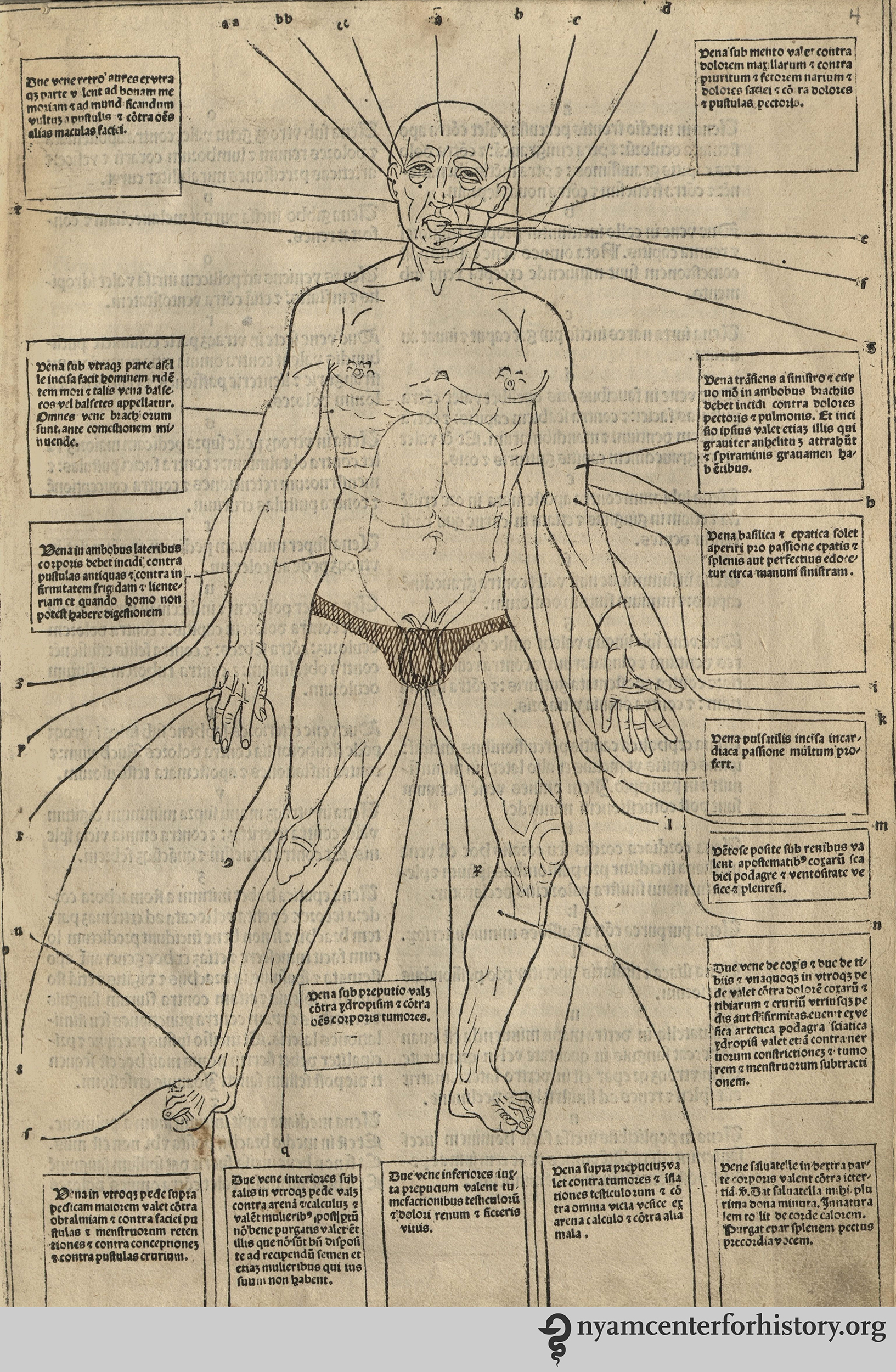 ketham_fasciculomedicina_4_1495_watermark