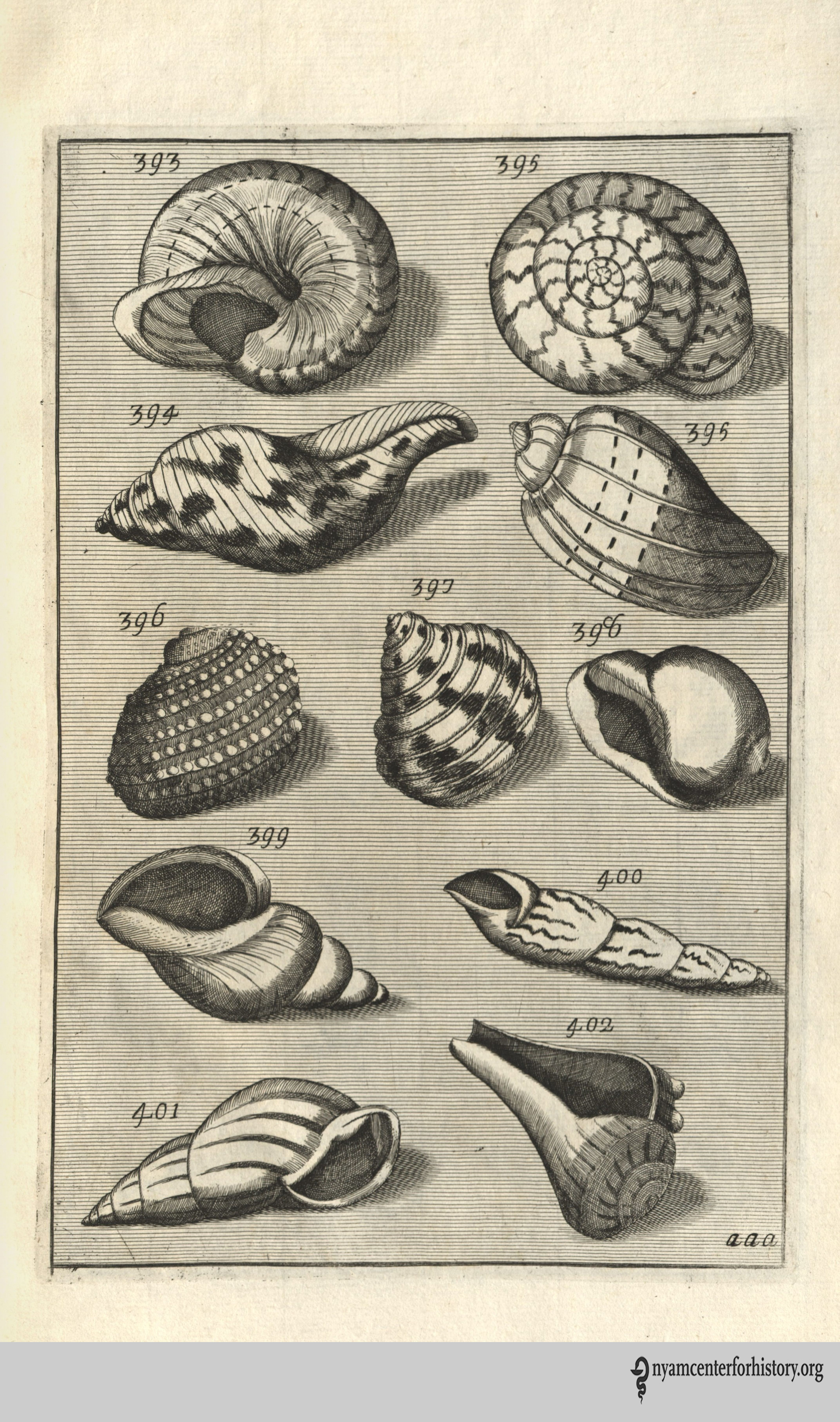 buonanni_musaeumkircherianum_1709 2_watermark