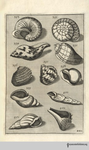 buonanni_musaeumkircherianum_1709 2_watermark