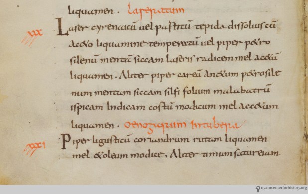 APICIUS_007peppersaucedetail_watermarked