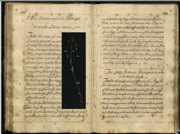 Digitizing Our Manuscript Cookbooks | Books, Health and History